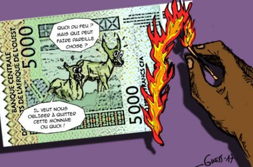 Article : En Afrique, faut-il brûler le Franc CFA ?