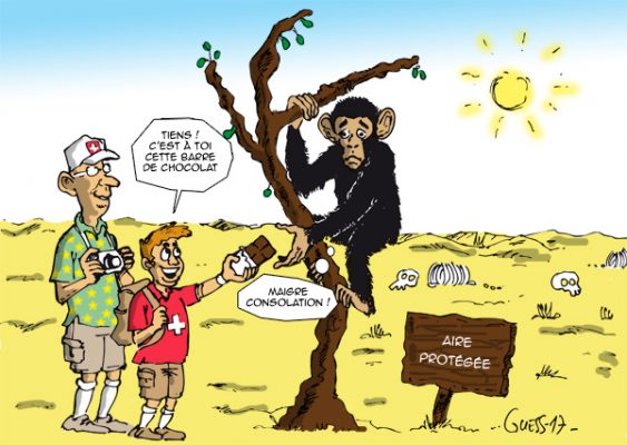 Article : C&ocirc;te d&rsquo;Ivoire : les chimpanz&eacute;s et les &eacute;l&eacute;phants menac&eacute;s par le cacao